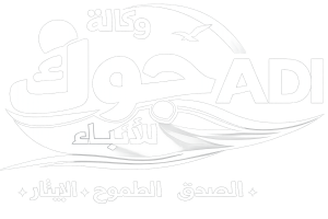 وكالة جوك للأنباء